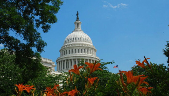 the Capitol Washington DC
