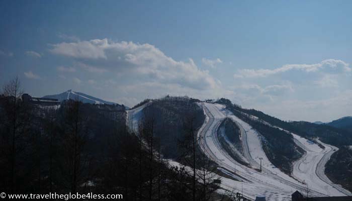 Alpensia skiing in Korea