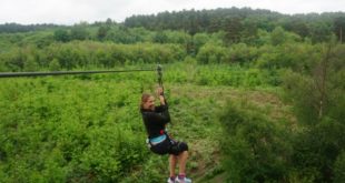 riding the zipwire