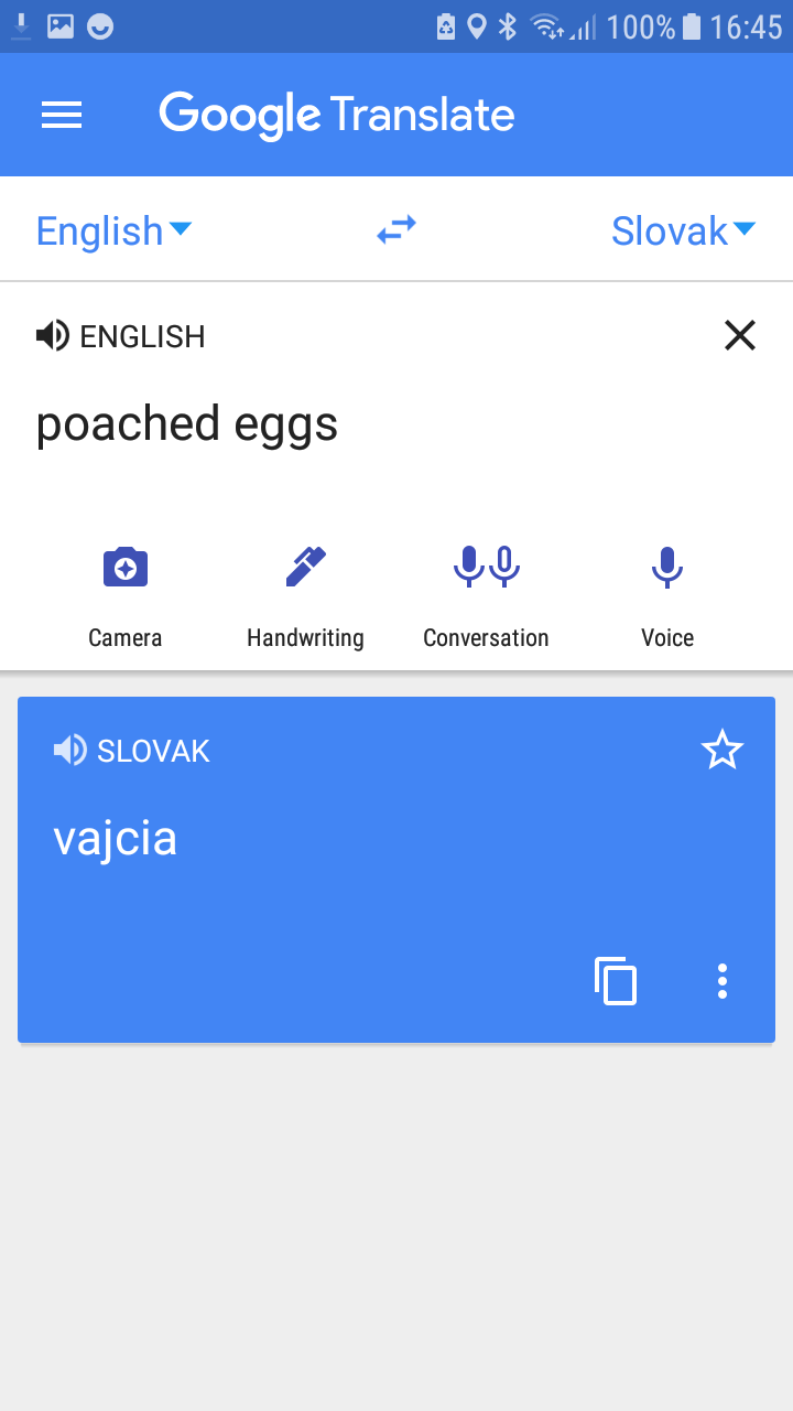 Google translate screenshot