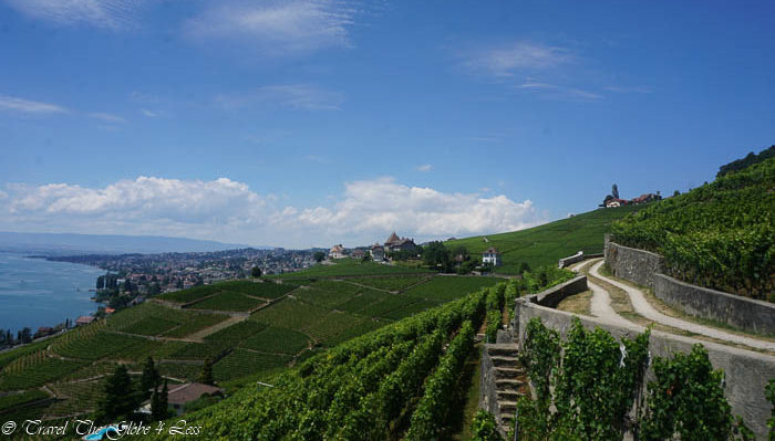 The vineyards of Latraux 