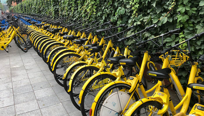 Ofo bicycles in Beijing