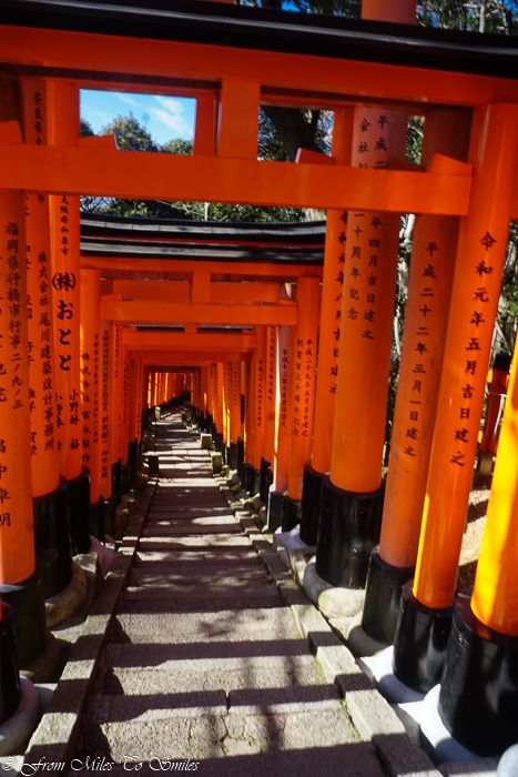 porțile Torii ale Fushimi Inari