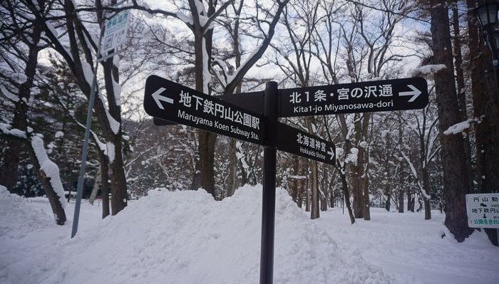 Manuyama Park, Sapporo