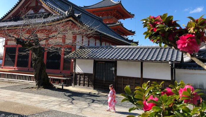 ung flicka i en kimono på Kiyomizu-dera