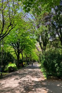 Cismigiu Gardens pathways