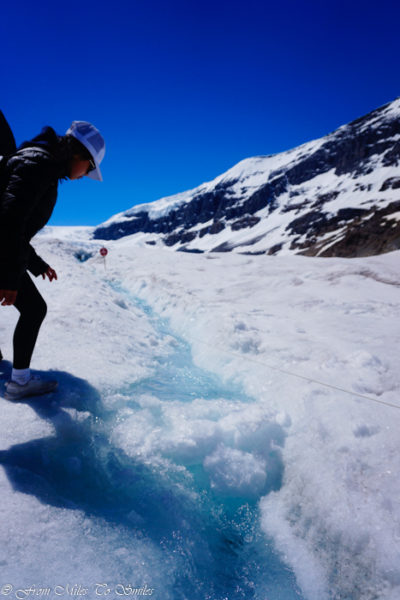 Checking out the glacial water on the Athabasca Glacier