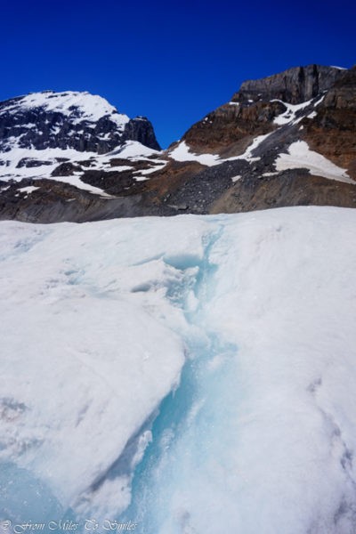 Rivers of glacial water on the Athabasca Glacier