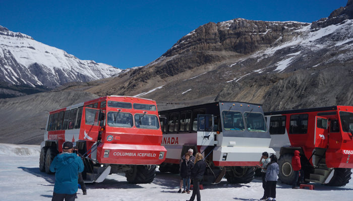 Snowcoaches on the Columbia Icefields