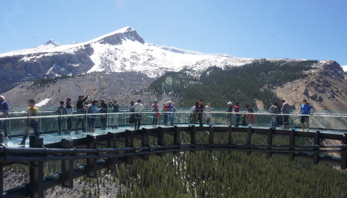 a group of people on a glass bridge