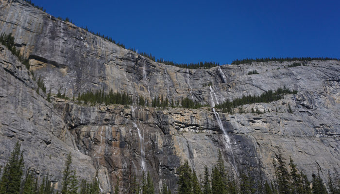 The Weeping Wall, Icefields Parkway