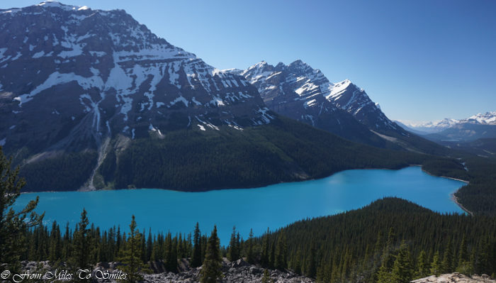 Peyto Lake, Icefields Parkway