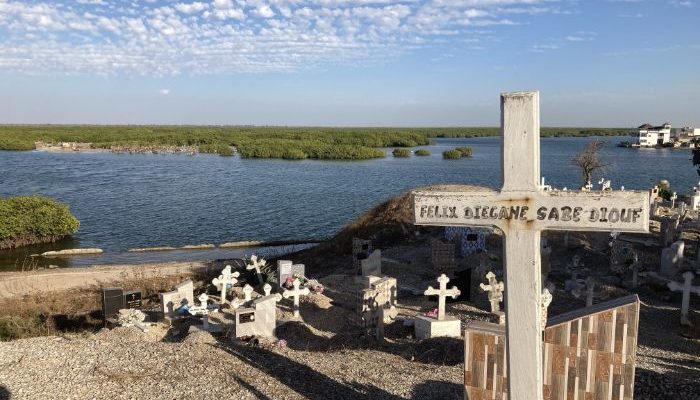The mangroves of the Saloum Delta from the cemetery