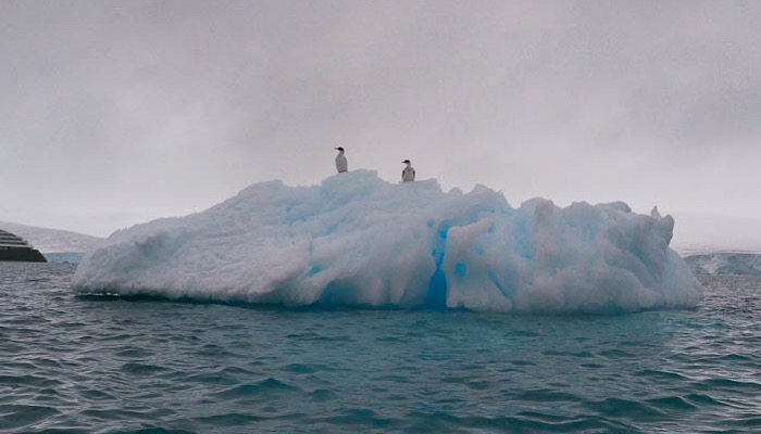 Penguins chilling on an iceberg in Antarctica