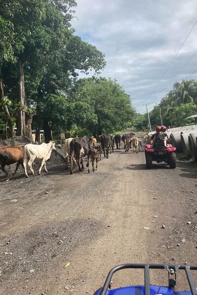 Traffic jam on Ometepe