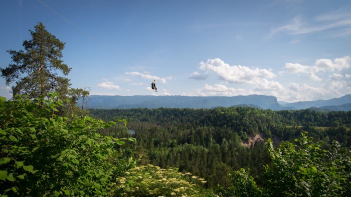 a person on a zip line over a forest
