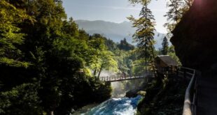 a bridge over a river with trees and a house