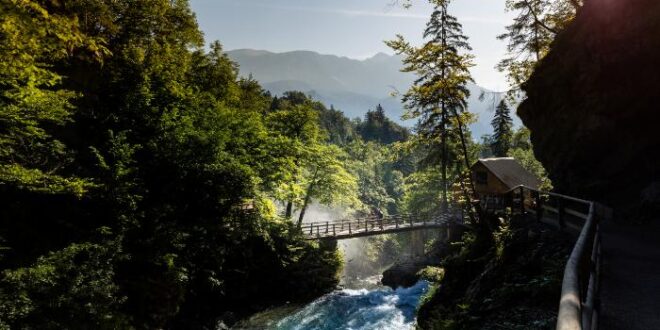 a bridge over a river with trees and a house