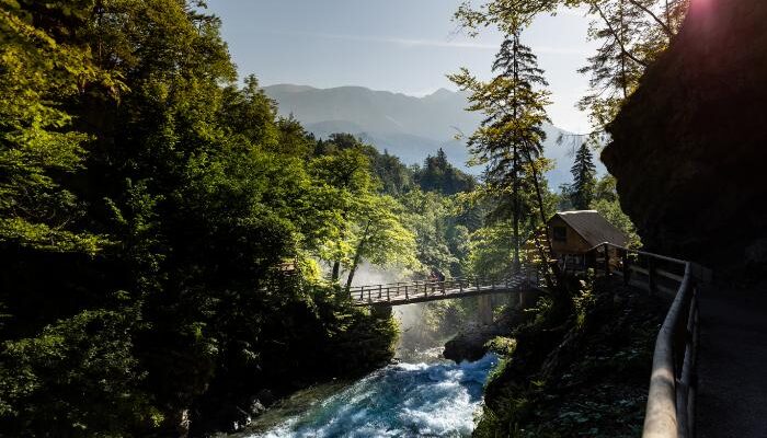 a bridge over a river with trees and a house