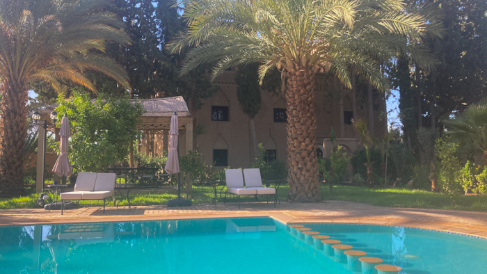 a pool with chairs and palm trees