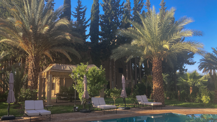 a pool with lounge chairs and palm trees