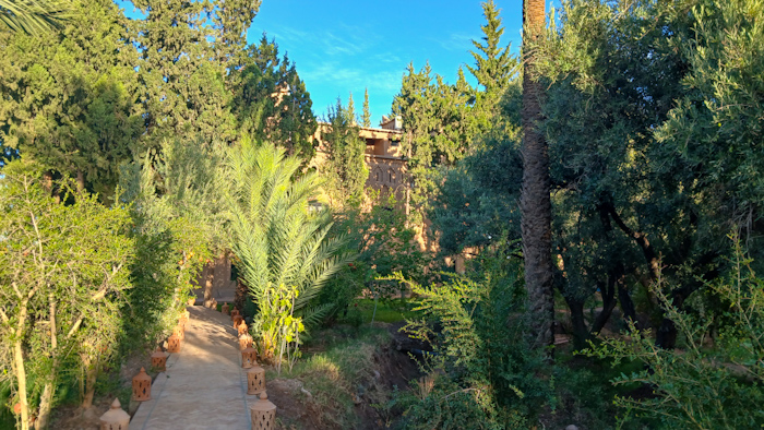 a path between trees and buildings