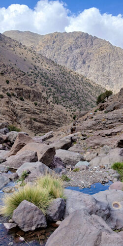 a rocky canyon with a stream of water